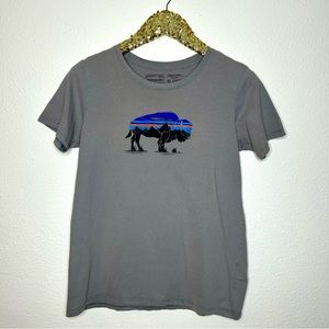 Patagonia Bison Buffalo Mountain Graphic Regular Fit Tee S
